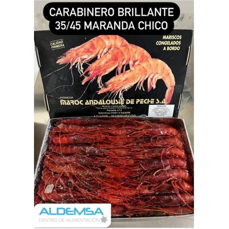 CARABINERO 35/45 CHICO BRILLANTE MARANDA CAST